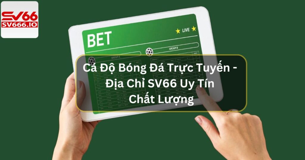 Cá Độ Bóng Đá Trực Tuyến - Địa Chỉ SV66 Uy Tín Chất Lượng