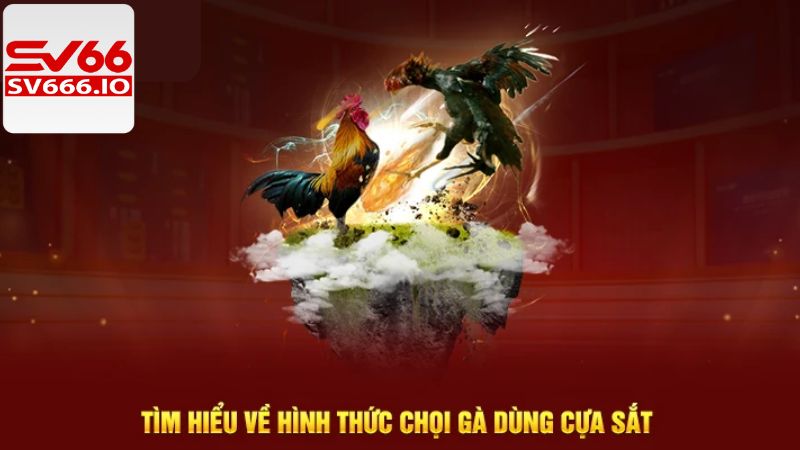 Khái quát đôi nét về đá gà cựa sắt SV66