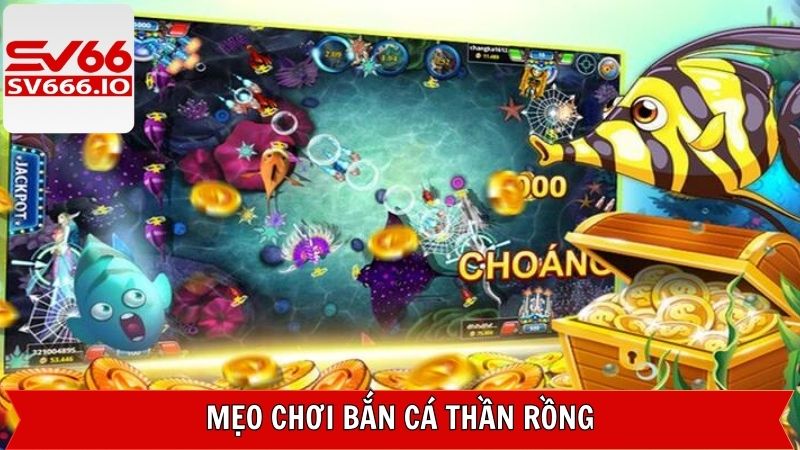 Bắn Cá Thần Rồng SV66 - Đắm Chìm Trong Đại Dương Huyền Bí 4 Kinh nghiệm săn cá bách phát bách trúng chuẩn cao thủ